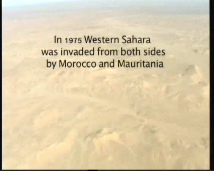 Real Saharawi