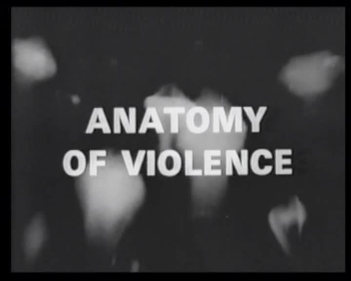 Anatomy of violence