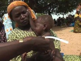 World Bank Famine (Niger)