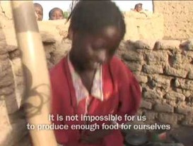 World Bank Famine (Niger)