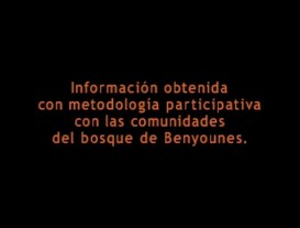 Informe Documental Benyounes 2005