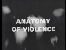 Anatomy of violence